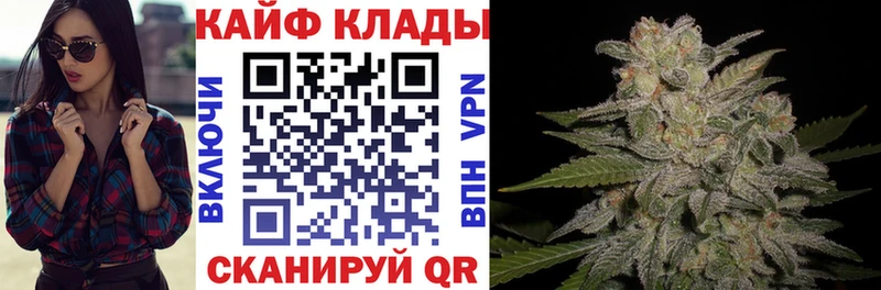 Галлюциногенные грибы Кировск