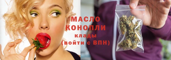 сатива Вяземский