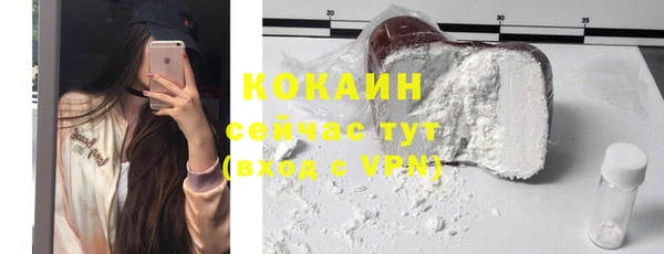 прущие крисы Горняк
