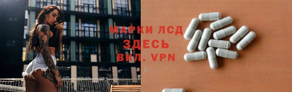 сатива Вяземский