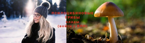 ECSTASY Вязьма