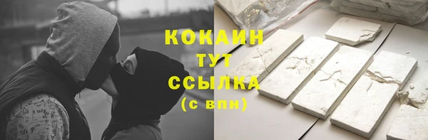 сатива Вяземский