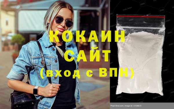 сатива Вяземский