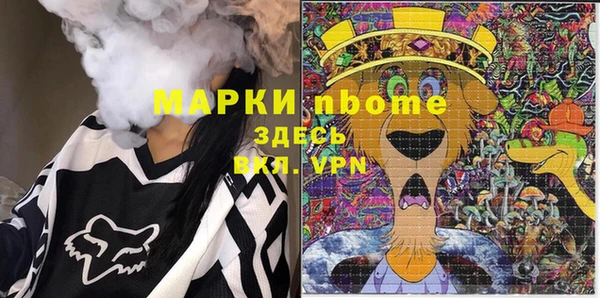 сатива Вяземский