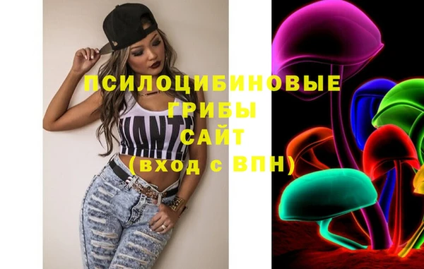 ECSTASY Вязьма