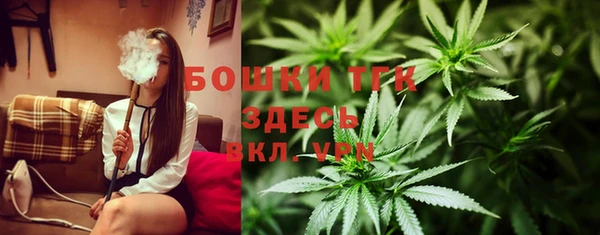 сатива Вяземский