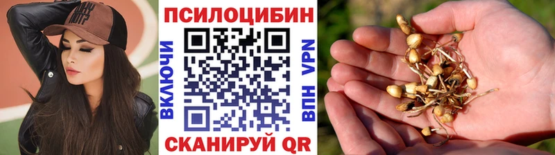 Псилоцибиновые грибы Magic Shrooms  Купить закладки  Кировск 